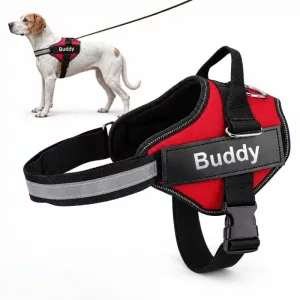 Reflective No-Pull Dog Harness With Custom Tag