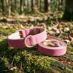 Soft Dog Collar and Leash Set