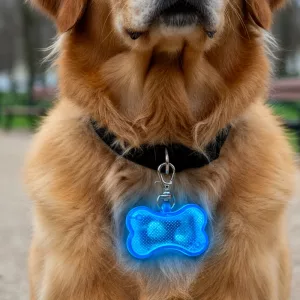 led collar pendant, collar bone pendant