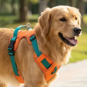 dog vest harness