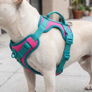 Cute Breathable No-Pull Dog Harness