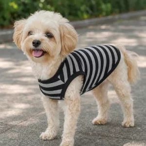 Striped Cotton Dog Summer T-Shirt