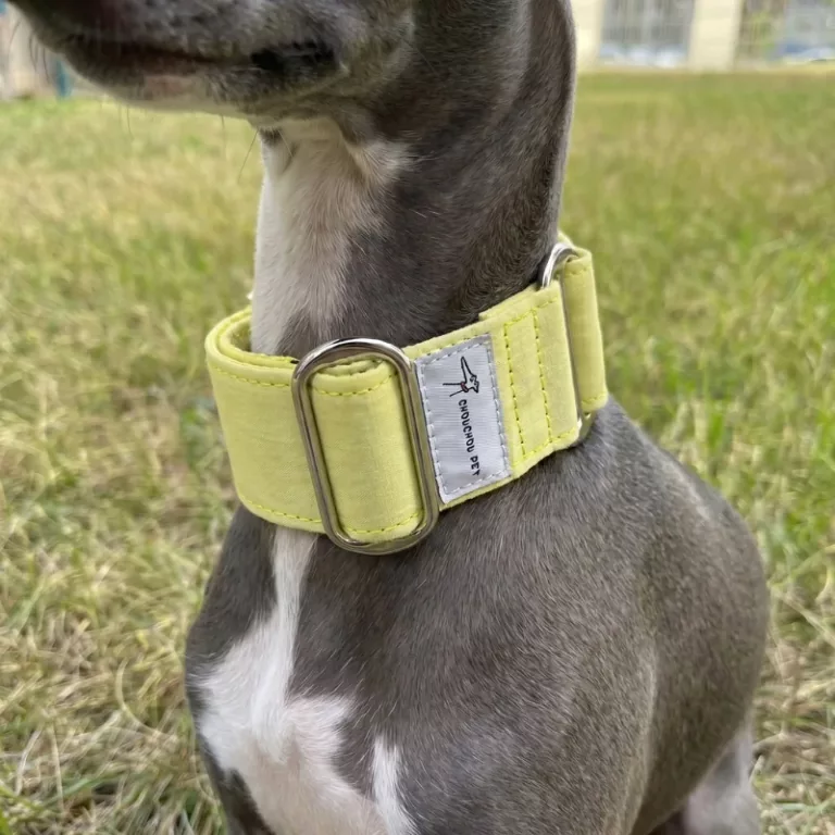 leather dog collar