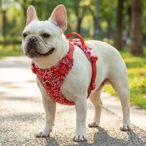 Cute Floral Reflective No-Pull Cotton Dog Harness