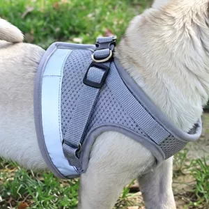 Breathable Mesh No-Pull Dog Harness Vest and Leash Set