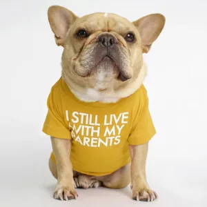 Fun Breathable Cotton T-Shirt for Dogs