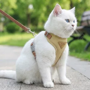 Cute Breathable Padded Cat Harness and Leash Set
