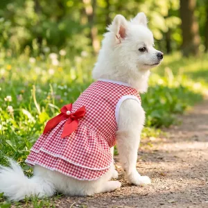 Cute Summer Bow Dress for Dogs