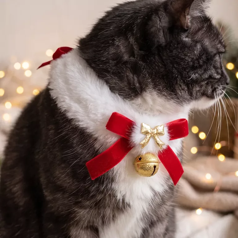 christmas cat collar bow tie, jingle bell cat collar